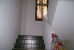 Escalier terrasse