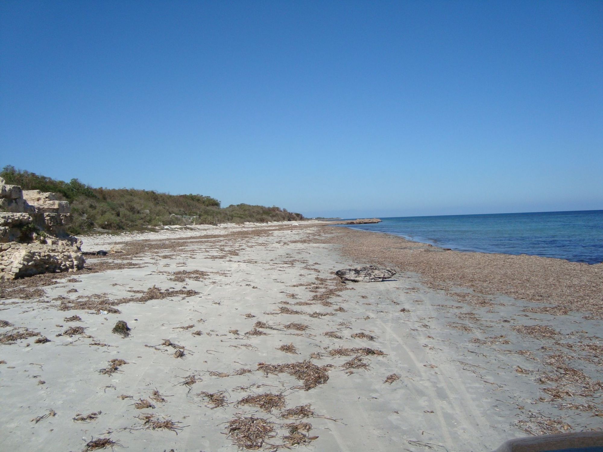 Occasion à ne pas rater tamazrat