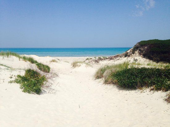 Terrain 01 ha au bord de la plage hammam el ghezez