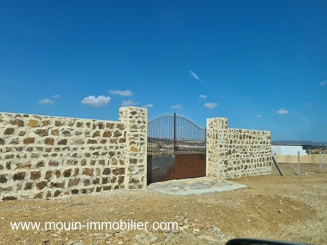 Terrain mziraa av à hammamet birbouregba