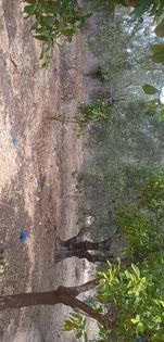 Av terrain de 670m² situé a hammamet