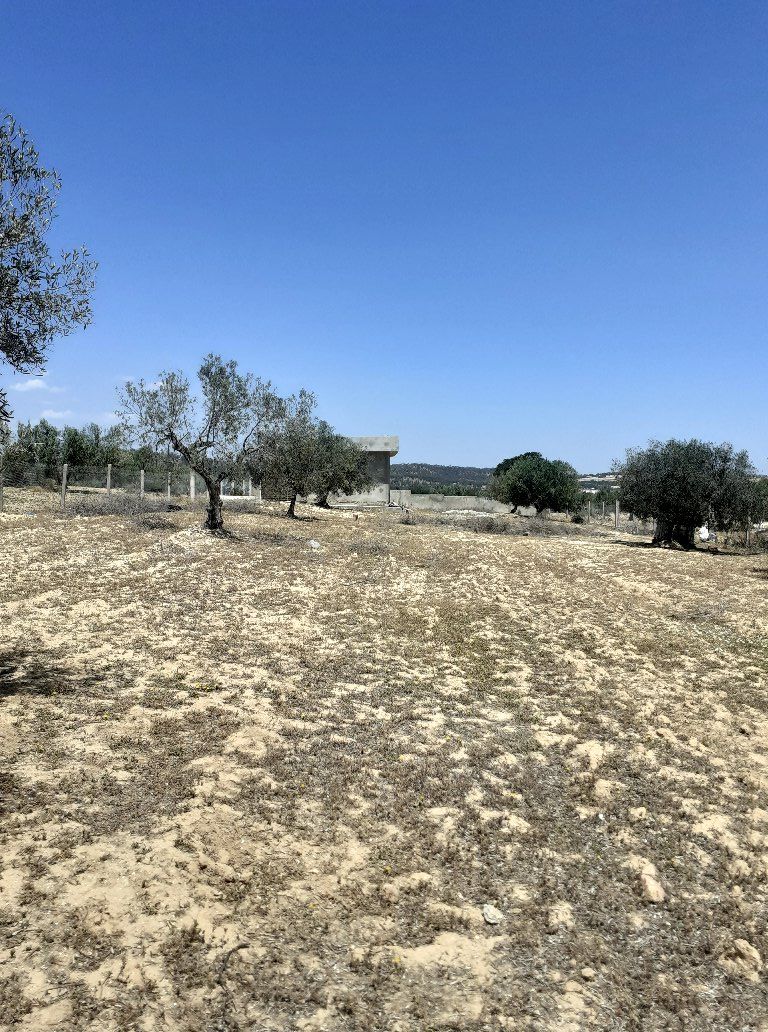 Av terrain 5350m² situé à hammamet sud 135md