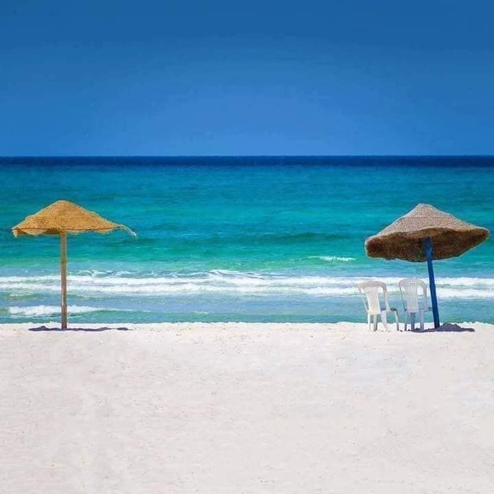 Terrain les pieds dans l'eau a dar allouche