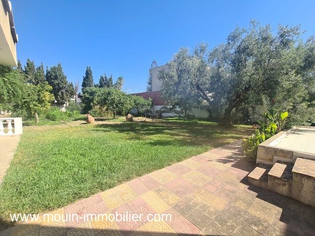 Terrain alma av i nabeul ii