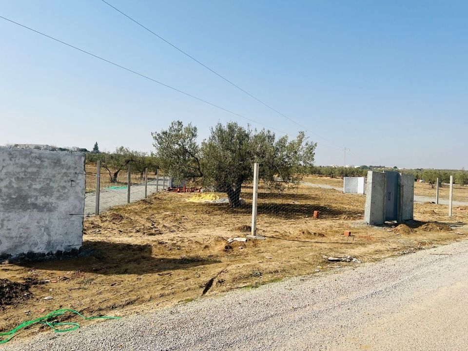 Terrain à hammamet de 600 m²