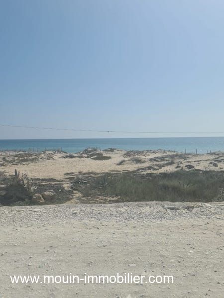 Terrain jinen beni khiar av i beni khiar