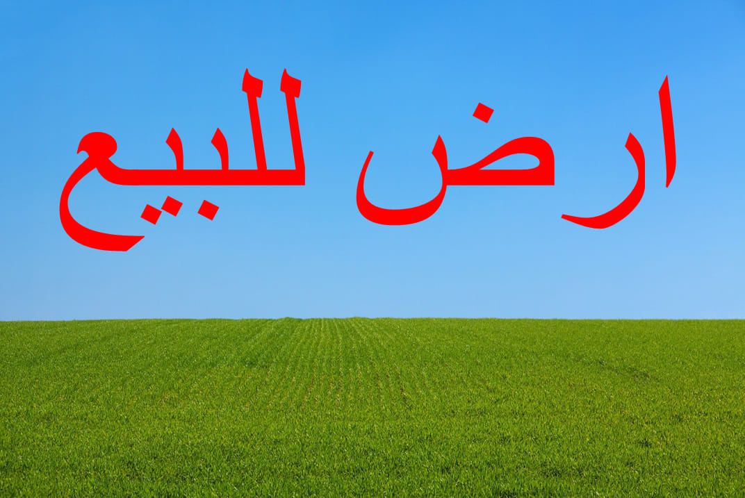 L'affaire de toujours: des terrains a kerkouanekélibia a vendre