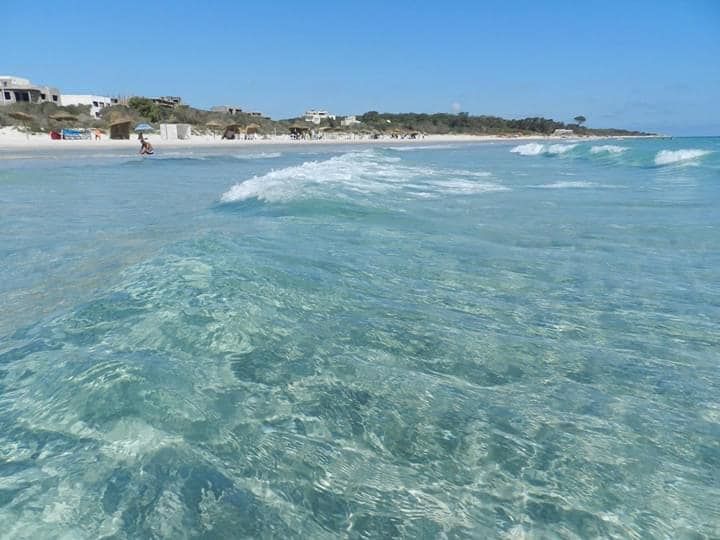 Une opportunité unique à ezzahra