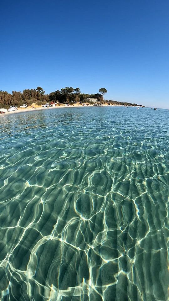 Des beaux terrains au bord de la mer
