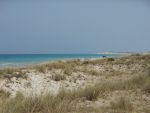 1000 m² cote el haouria