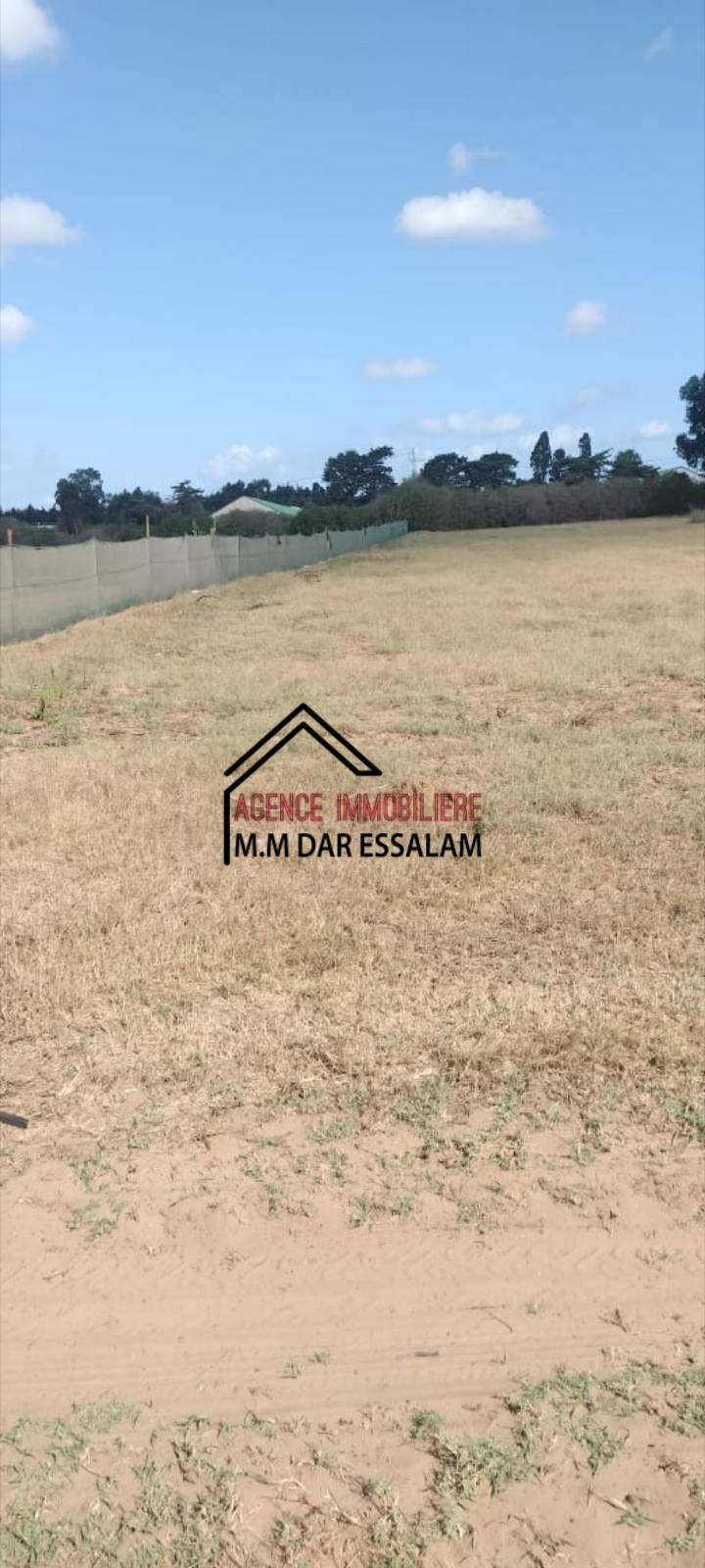 Terrain agricole près de la route