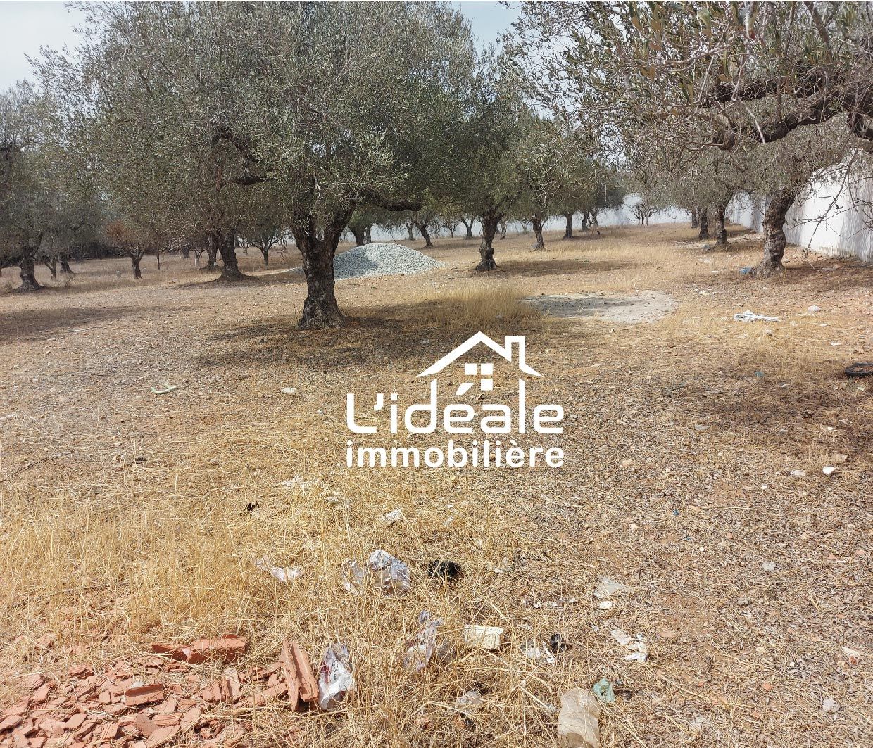 Terrain d'investissement à hammamet