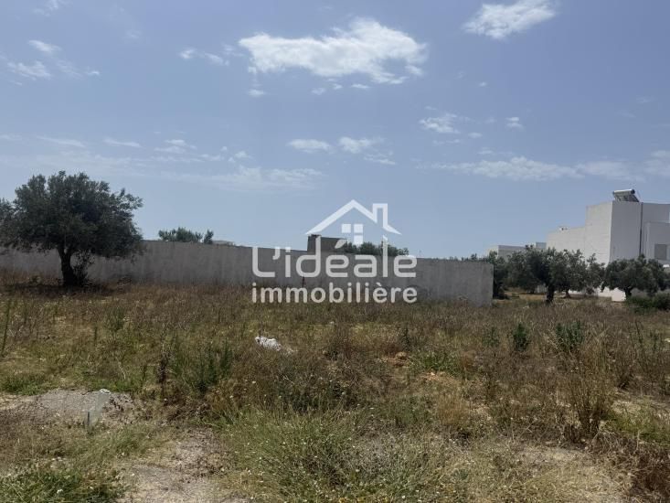 Votre futur projet commence ici terrain alpha