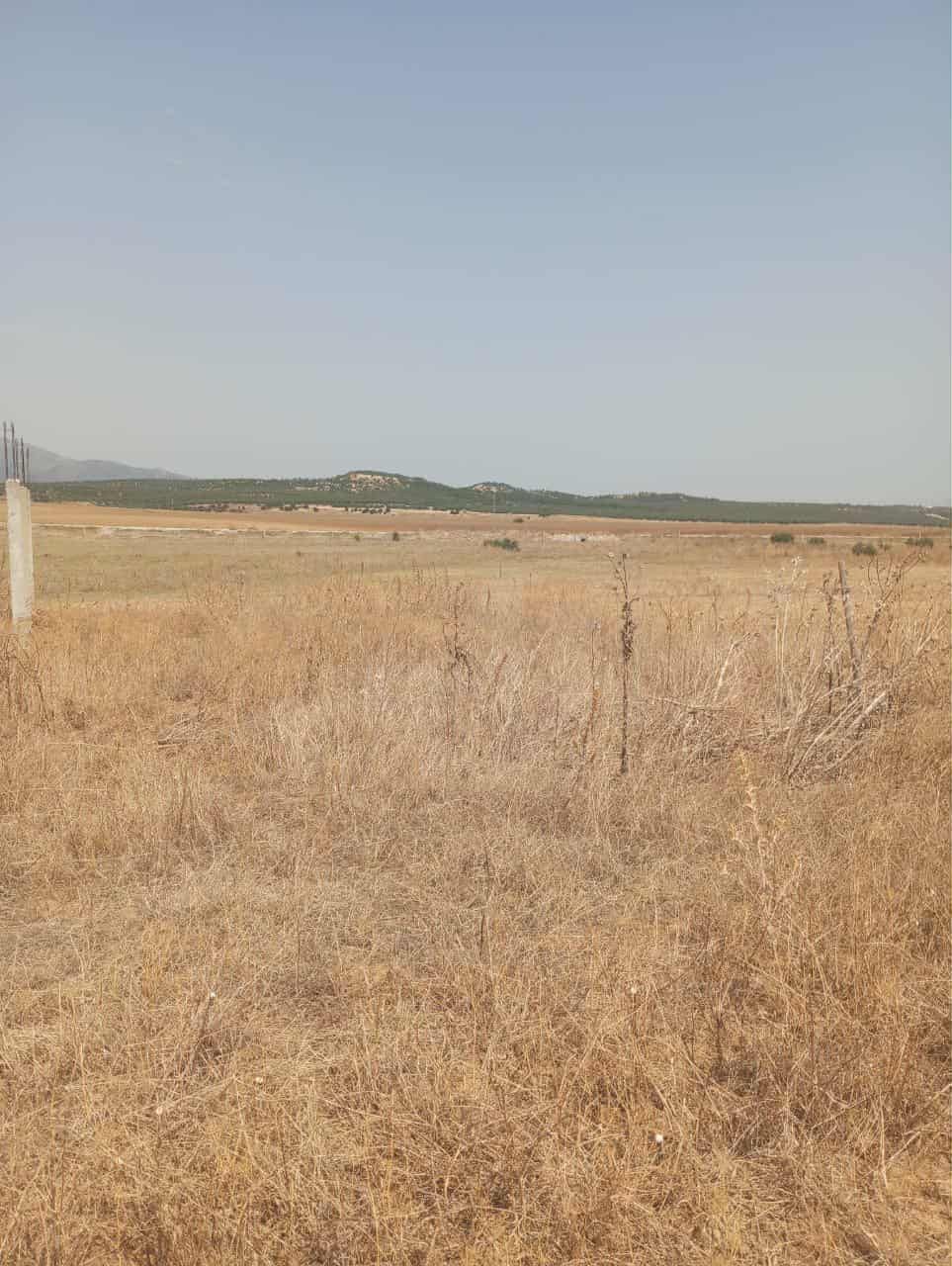 Av terrain 7 hectares route zaghouan hammamet