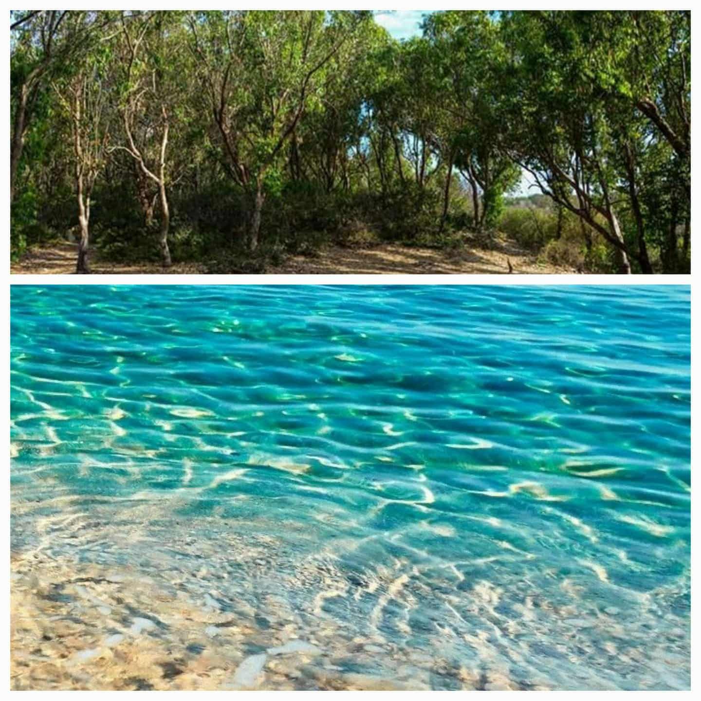 Un terrain côte kerkouane