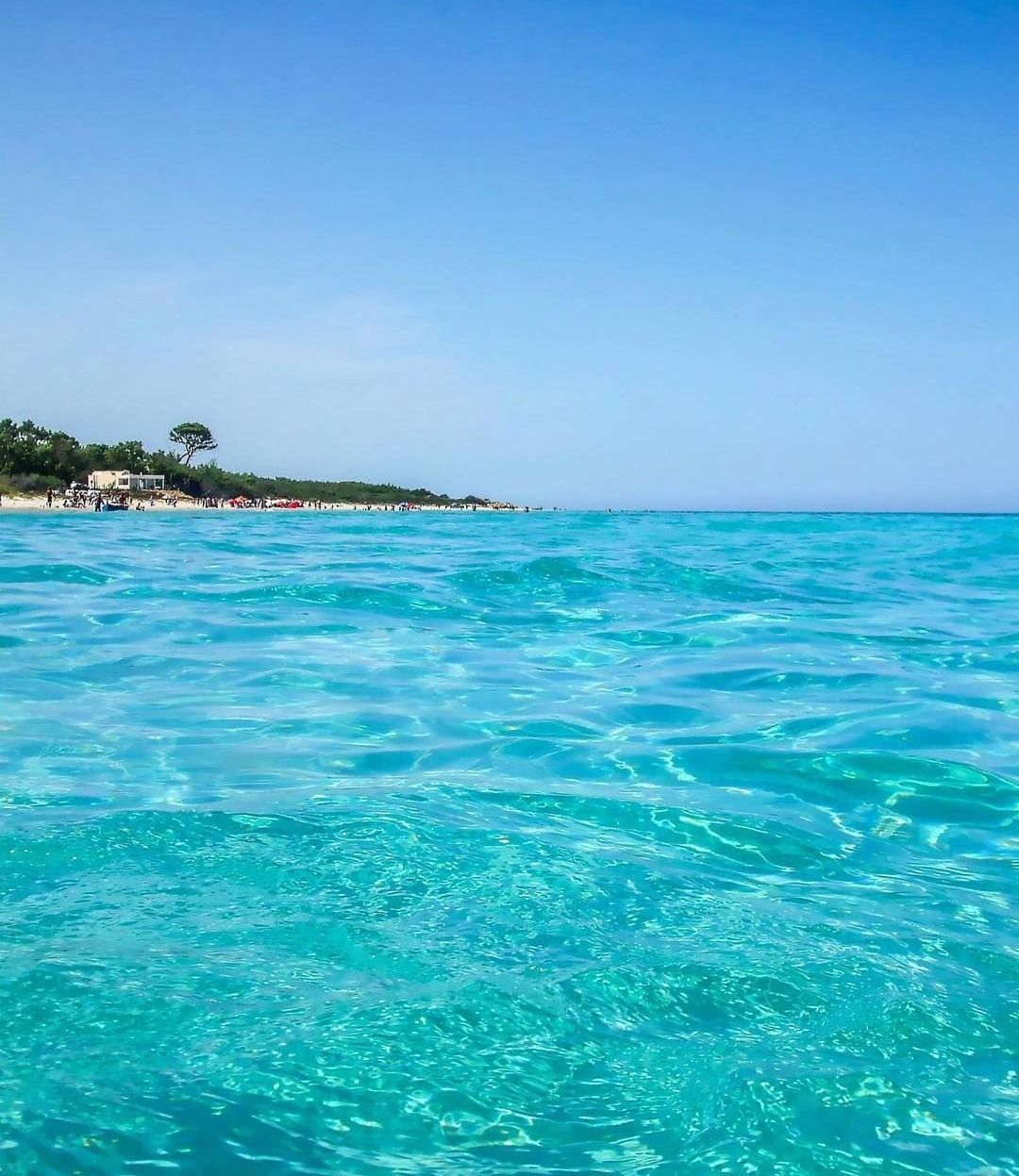 Une bonne affaire terrain à nabeul