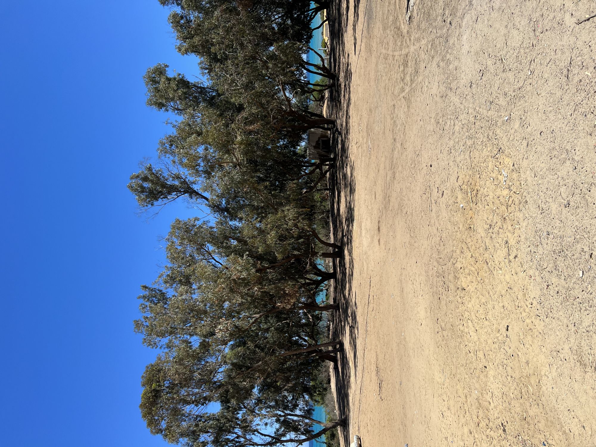 Un terrain de 1 ha magique