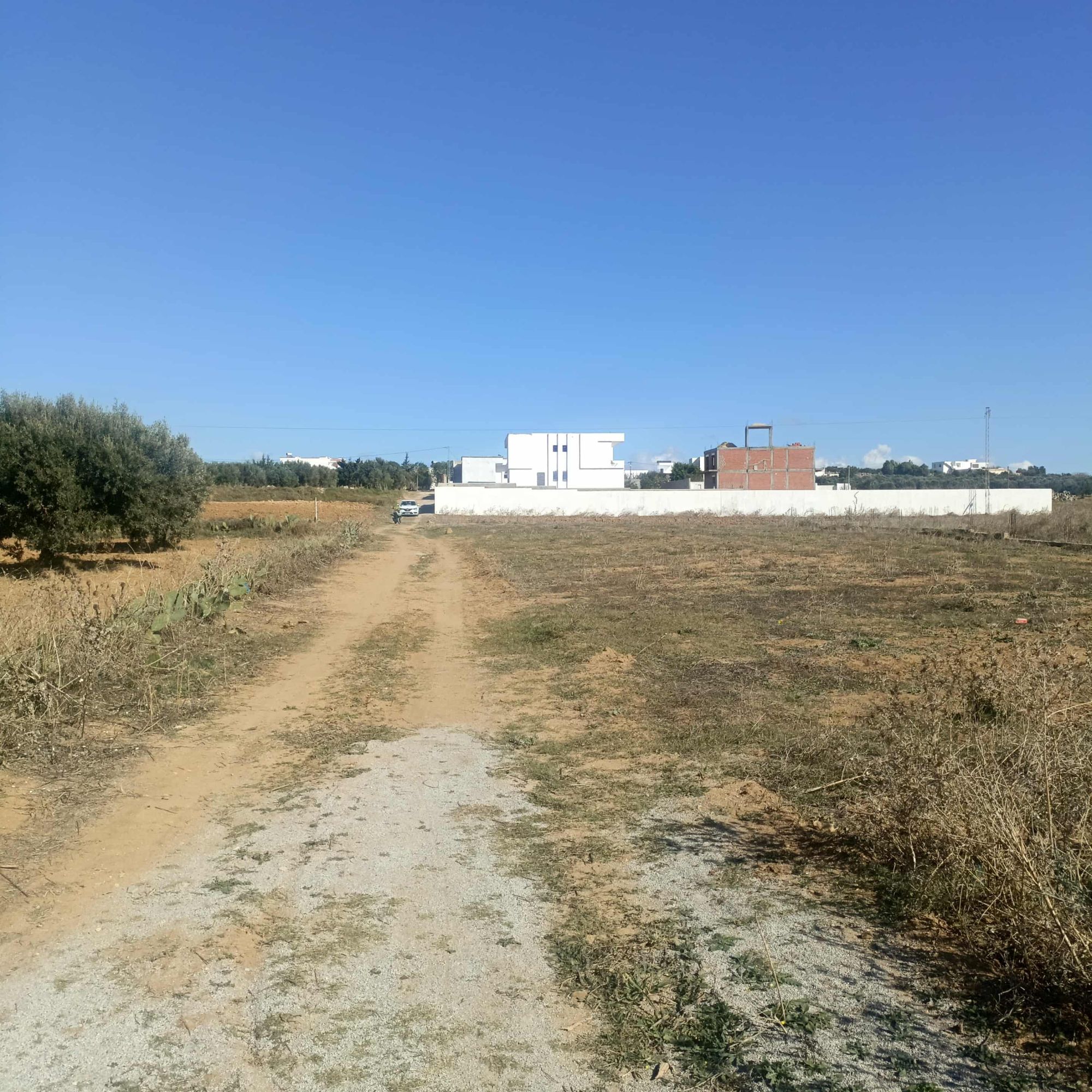 Av beau terrain de 1000m à monchar hammamet sud