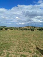 Av terrain 4100m à zeriba zaghouan