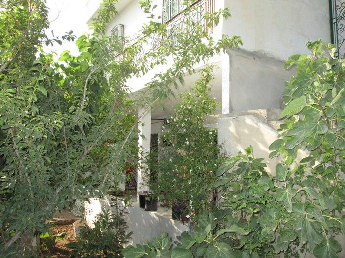 Villa fawara 2000m à hammamet