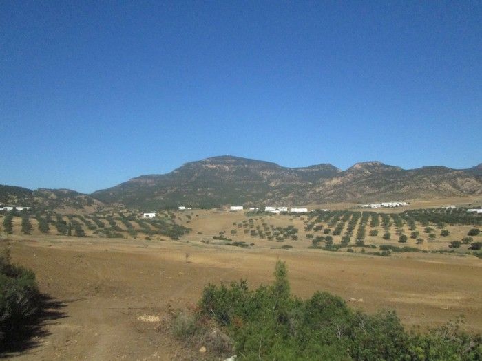 Terrain 4 hectares à mziraa