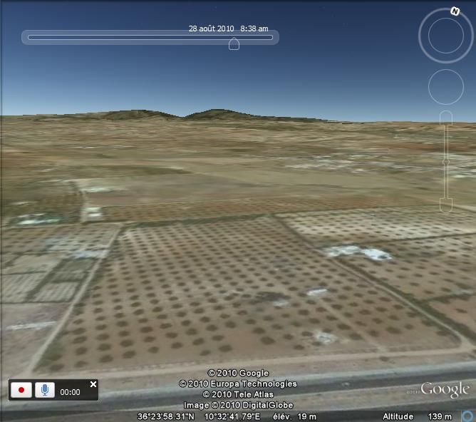 Senia a hammamet sud