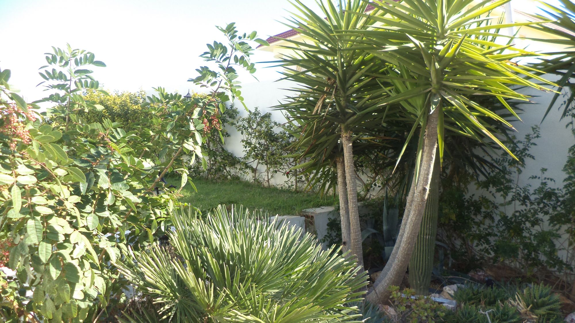 Belle villa avec piscine a kantaoui ouvrant sur le golf