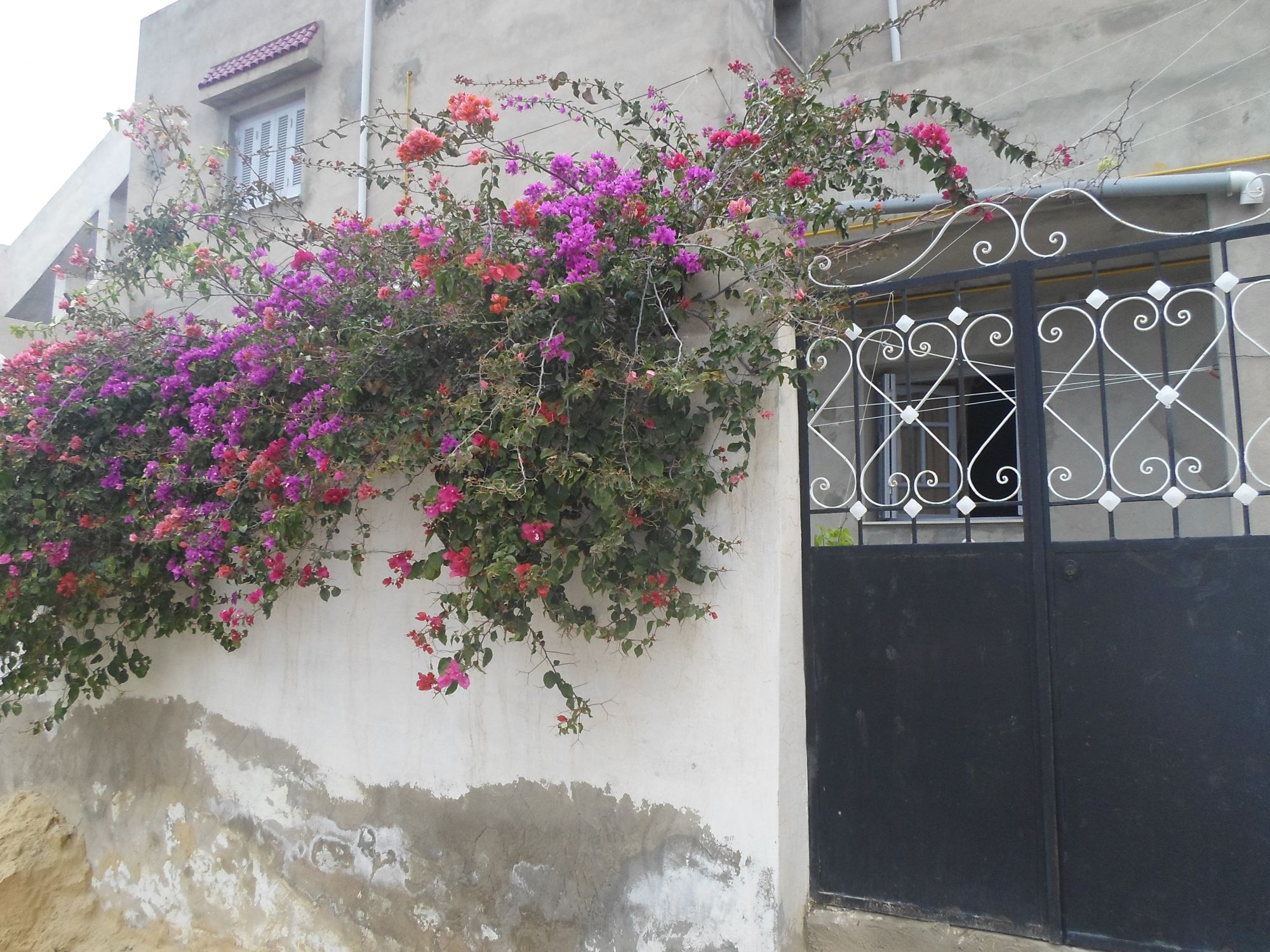 Av 2 maison à 2 pas de hammamet