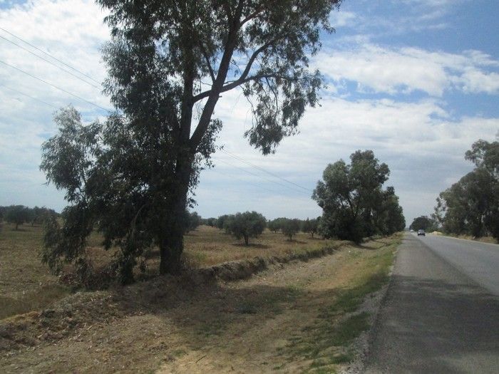 Terrain 2 hectares avec une grande façade sur la route g