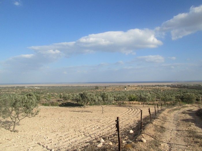 Terrain 1 hectare et 3000m avec vue mer