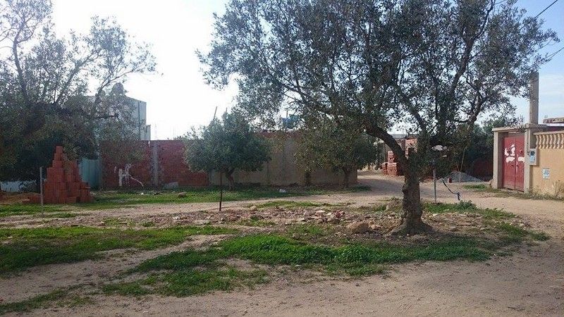 Terrain situé à barekit sehil vers sidi hammed