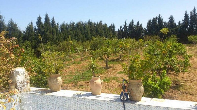 Av une ferme de deux hectares dans la compagne de hammamet