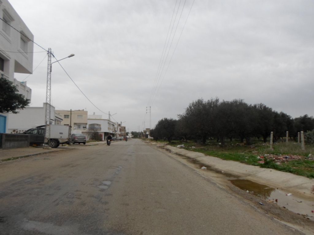 Terrain 200m à kelibia