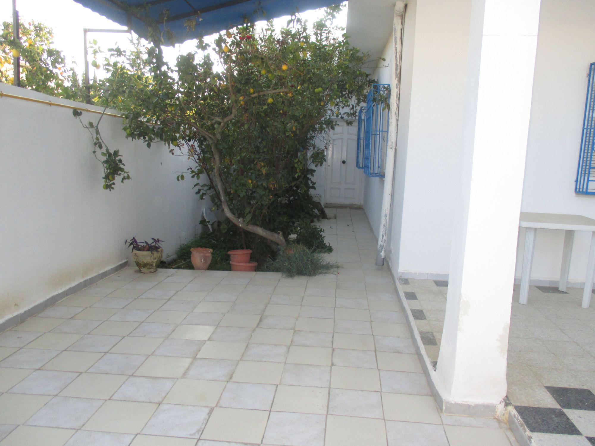 Maison citronnier s+3