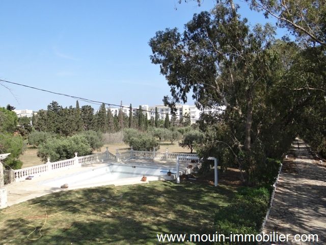 Villa thym a hammamet sud