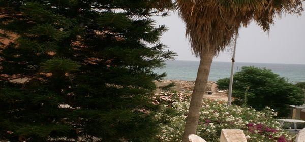 Appartement s+2 meublé à hammam sousse