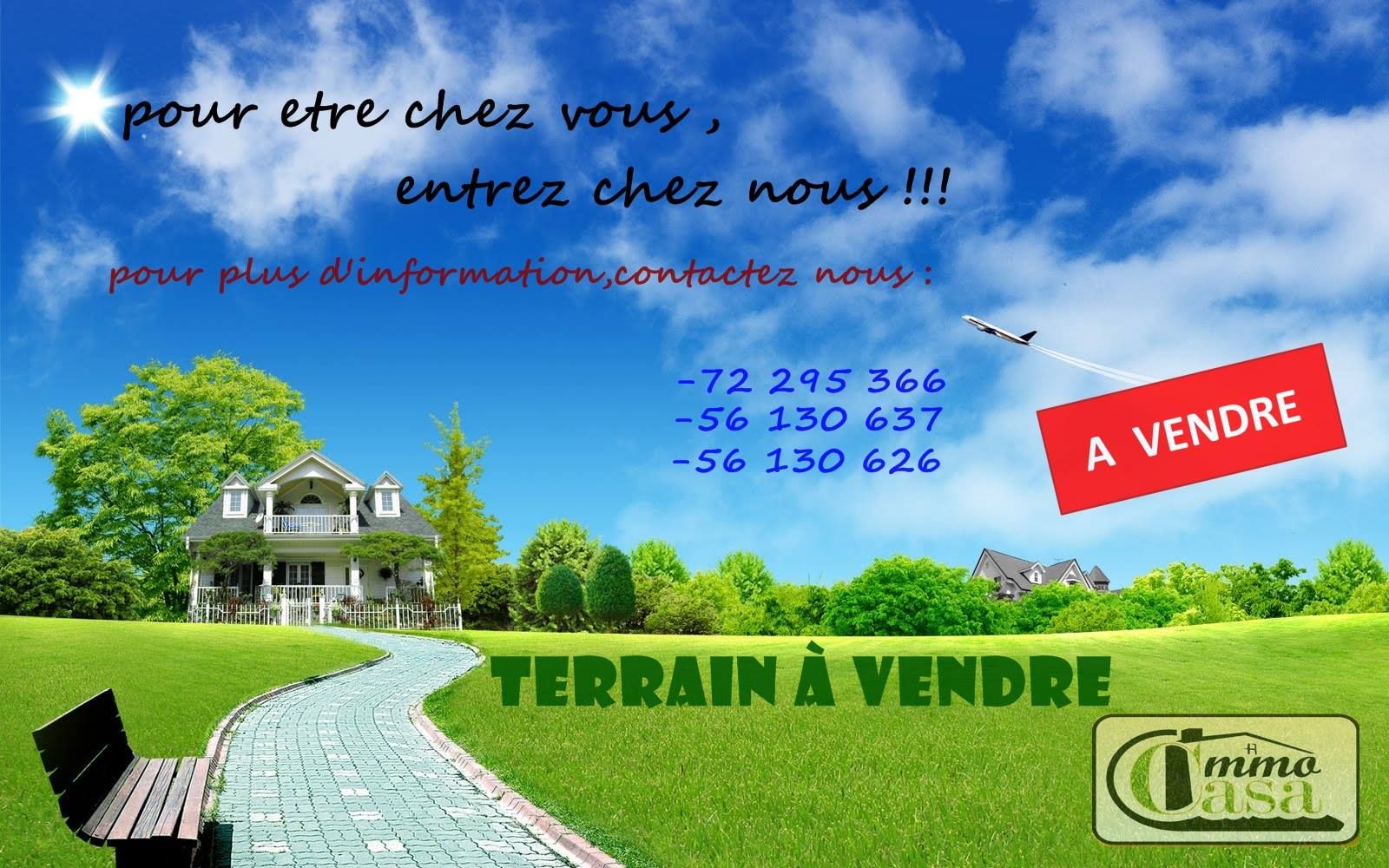 Superbe terrain à la plage sidi mansour kélibia