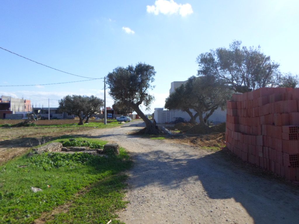 Terrain 305 m à cité riadh kelibia réf t