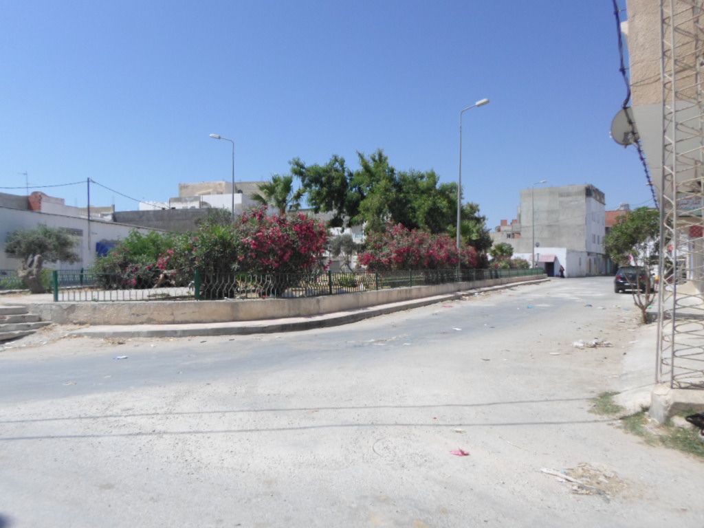 Terrain 250 m sur route goudronné réf t