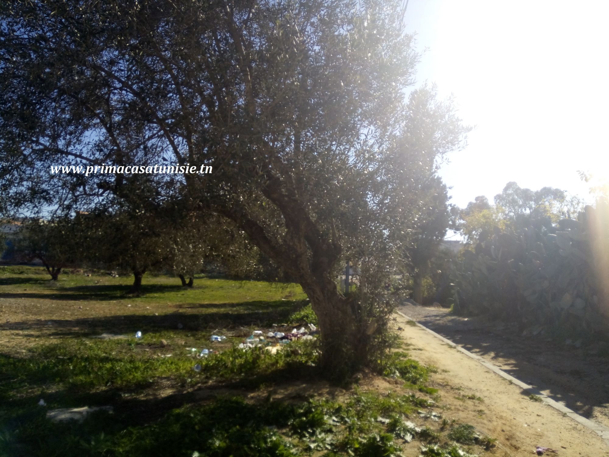 Terrain slayem à birbougba