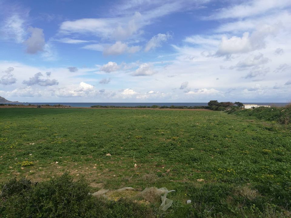 Terrain a vendre alimentéé par eau et electricité