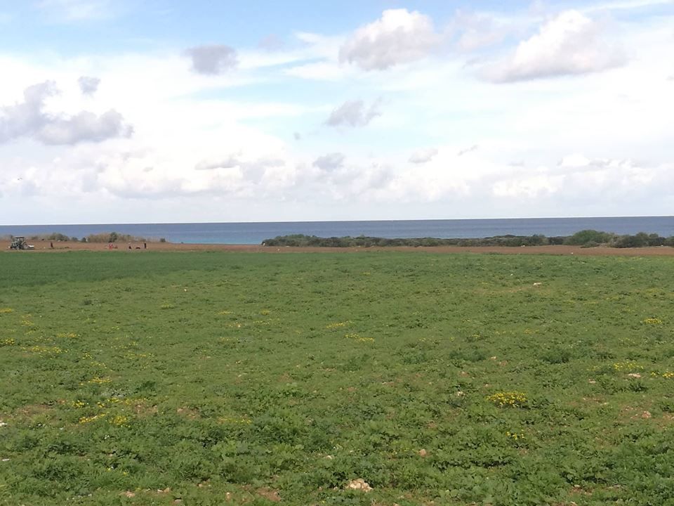 Terrain constructible et pied dans l'eau