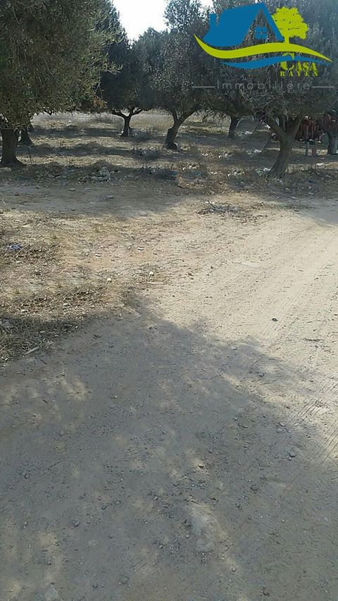 أرض مساحتها 132 مترفرص جديدة