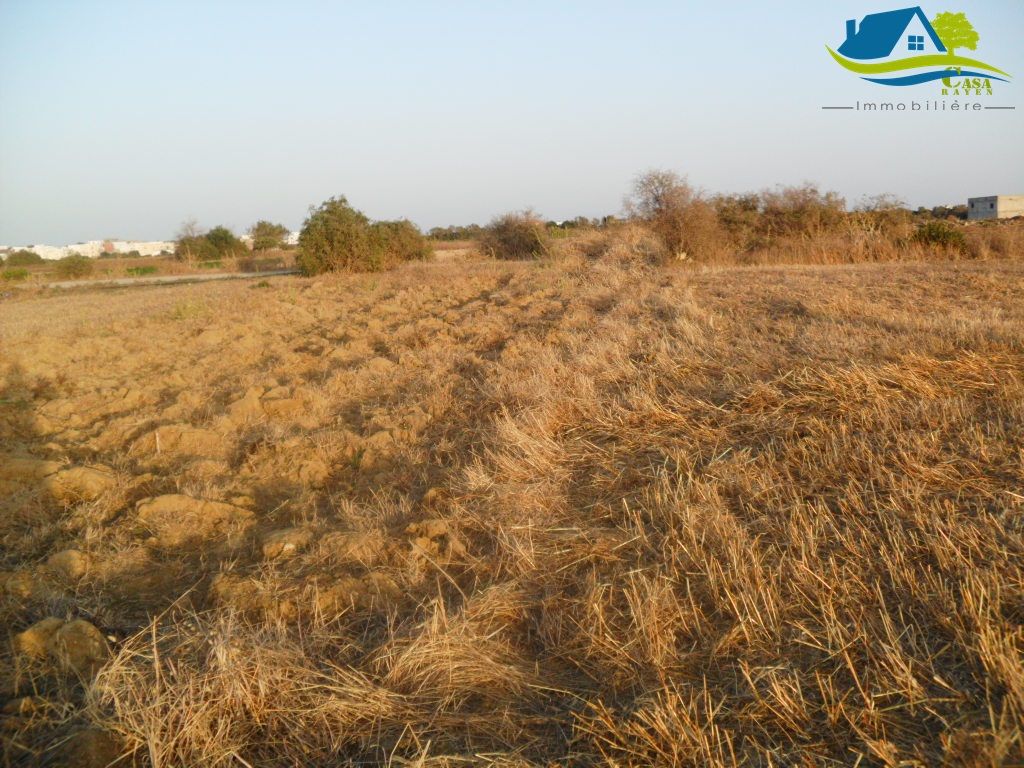 أرض مساحتها 350متر