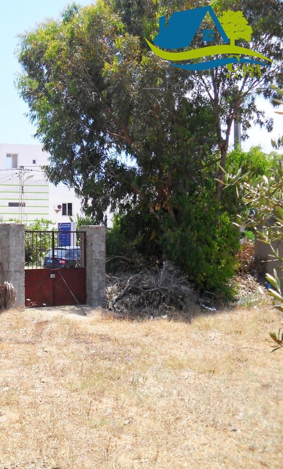 أرض في حمام الجبلي قليبية مع أسعار في متناول الجميع