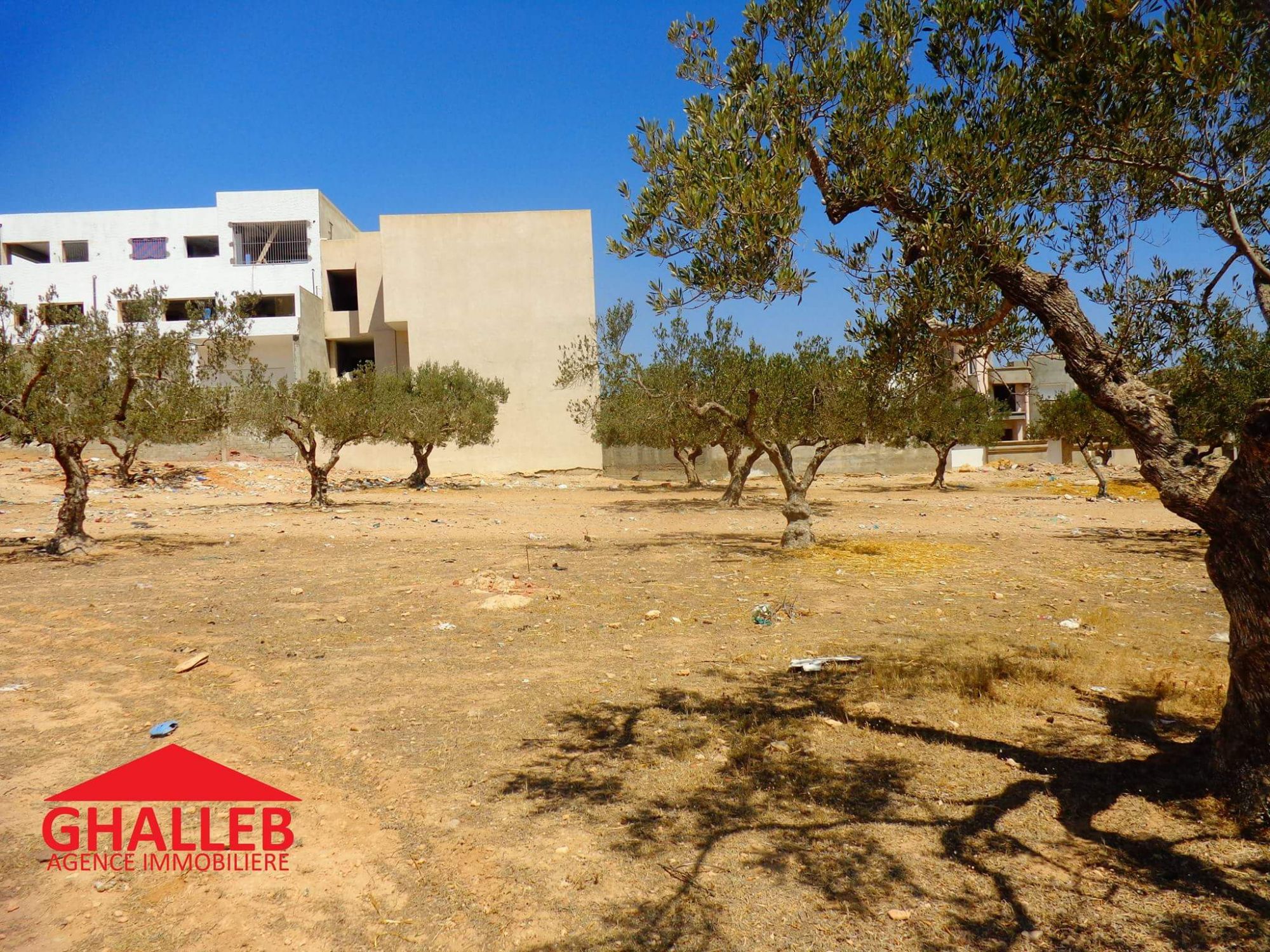 أرضين بالمرازقة 705م