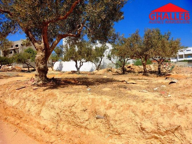 أرض بالمرازقة على الطريق 500م 273