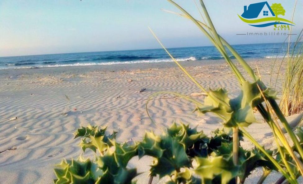 فرصة أراضي على البحر في كركوان