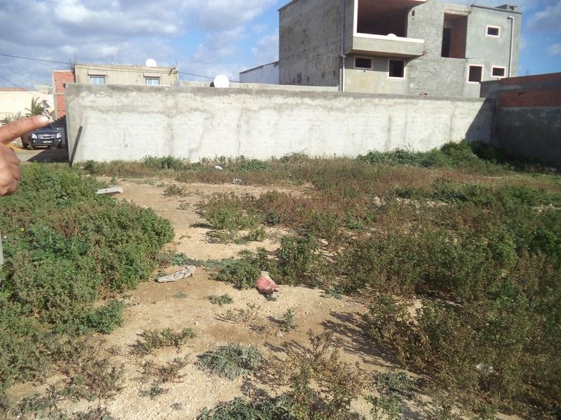 Terrain de 150 à bareket elsehel