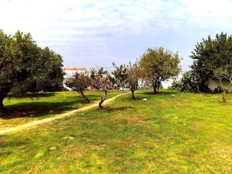 603m sur la route proche hammamet a d